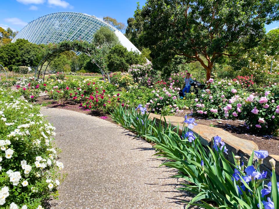 Adelaide Botanic Garden