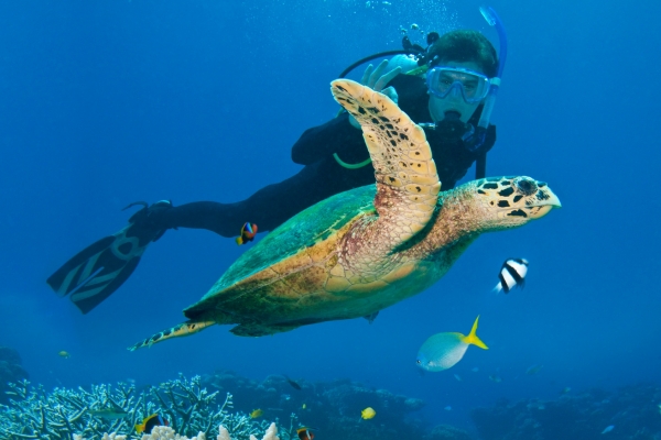 Great Barrier Reef
