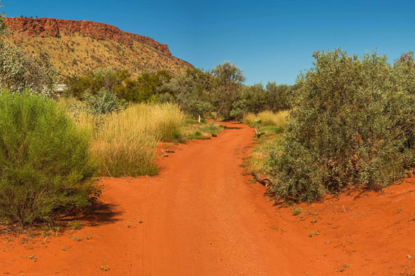 Alice Springs Desert Park